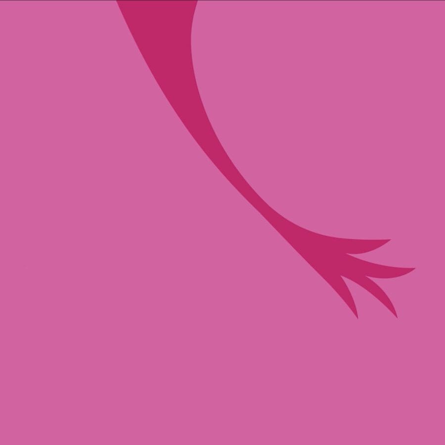 De Roze Olifant - staart2